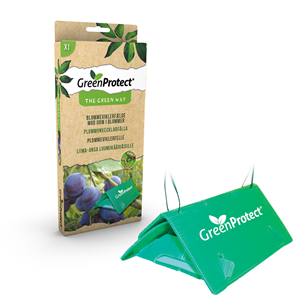 GreenProtect Blommevikler fælde
