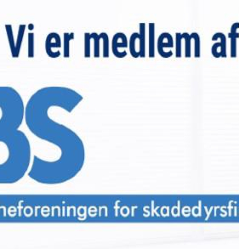 BS mobile