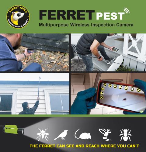 Ferret-Pest-NOR-PRO-23-Mobile